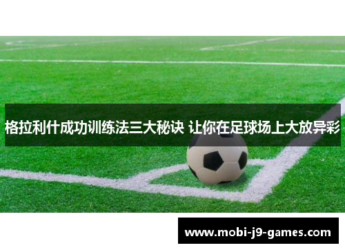 格拉利什成功训练法三大秘诀 让你在足球场上大放异彩 格拉利什成功训练法三大秘诀 让你在足球场上大放异彩